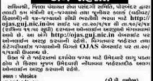Porbandar Talati cum Mantri/ Junior Clerk (Vahivati/Hisabi) Vacancies