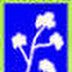 Cotton Corporation of India Various Recruitment 2014