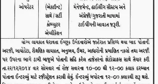 District Panchayat Accountant cum Computer Operator Recruitment, 2014