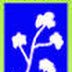 Cotton Corporation of India Ltd Field & Document Assistant Recruitment, 2014