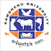 Kamdhenu University, Gandhinagar Recruitment, 2014
