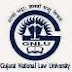 GNLU Various Professor & Research Associate Recruitment, 2015