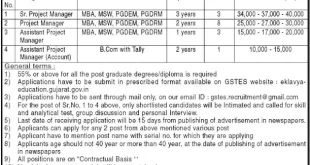 GSTES 15 Project Manager Recruitment, 2015