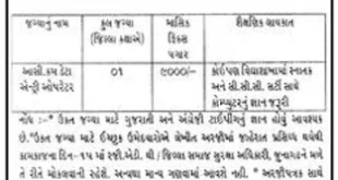 Juvenile Justice Board, Junagadh Asst. cum Data Entry Operator Recruitment, 2015