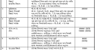 SSA Surendranagar Female Teachers & Accountant Recruitment, 2015