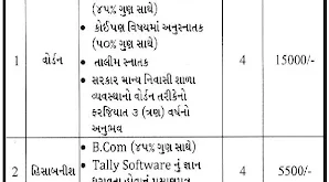 SSA - KGBV, Junagadh Warden & Accountant Recruitment, 2015