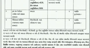 District Health Society Ahmedabad Walk in Interview for Various Vacancies