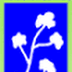 CCI Clerk & Field Assistants Recruitment, 2015