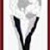 IIAR, Gandhinagar Junior Research Fellow Recruitment, 2016