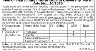 HNGU Patan Recruitment 2016 for Professors & Director