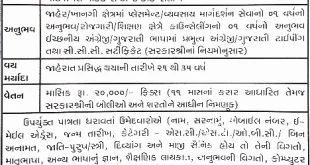 Career Counselor Recruitment in DET Nadiad, 2016