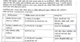 Rojgar & Talim Bharti Mela Gandhinagar, 2016 (20/07/2016)
