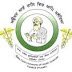 BFUHS Recruitment 2016 for 167 Staff Nurse