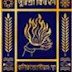 Kolkata Municipal Corporation Recruitment 2016 for 67 Medical Officer Vacancies