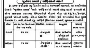 The Sarvodaya Sahakari Bank Ltd. Surat Recruitment 2016 for various posts