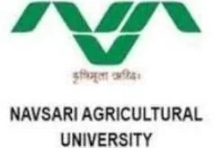 NAU Recruitment 2018 for Junior Project Assistant & Bee Professional