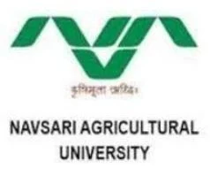 NAU Recruitment 2018 for Junior Project Assistant & Bee Professional NAU Jobs