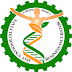 STBI Recruitment 2019 for Director, Sr. Manager & Others