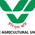 NAU Technical Assistant (Skilled Manpower) Recruitment 2020