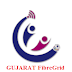 GFGNL DGM, Senior Manager, Manager, IT Officer and Consultant Recruitment 2020