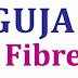 GFGNL Company Secretary Recruitment 2022