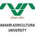 NAU Young Professional Recruitment 2023