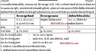 Ahmedabad City Government Primary School Teacher & Social Media Operator Recruitment 2022