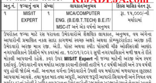 Anand Nagarpalika MIS/ IT Expert Recruitment 2022