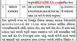 Regional Municipalities Vadodara Zone MIS / IT Expert Recruitment 2022